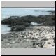 2002-04-17 F31 Sea Turtle.jpg